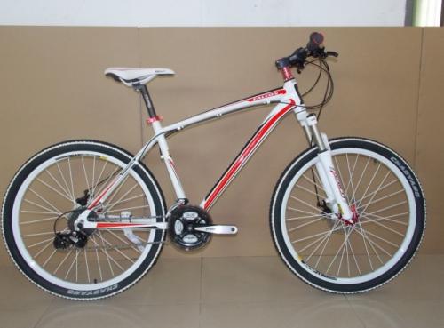 美利達挑戰(zhàn)者300  圖1